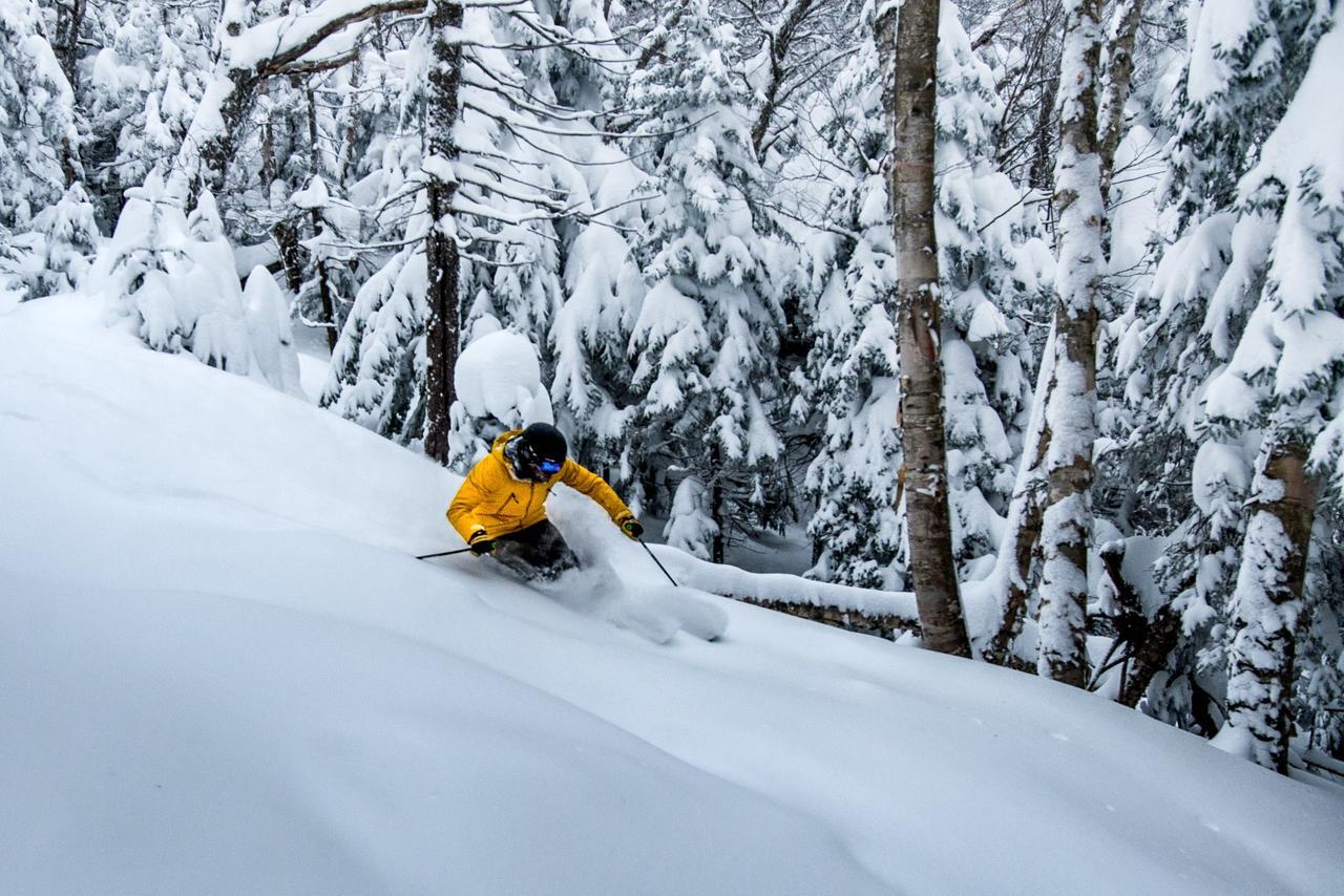 Вилла Mountain Retreat Уилмингтон Экстерьер фото